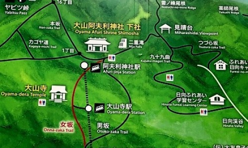 山药的功效与作用有哪些？