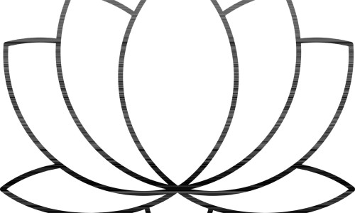 降香功效主治 用法用量-专业降香功效主治 用法用量平台-降香的功效与作用及禁忌症