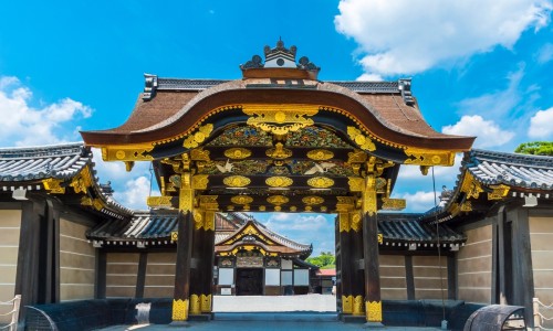 降香功效主治 用法用量-降香功效主治 用法用量-专业降香功效主治 用法用量平台-降香的功效与作用及禁忌症
